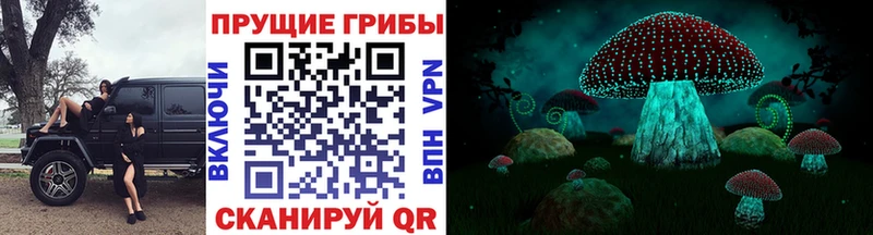 Галлюциногенные грибы Psilocybe  Купить где  Бронницы 
