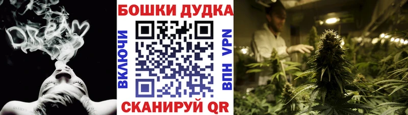 Купить где  Бронницы  Бошки марихуана SATIVA & INDICA 